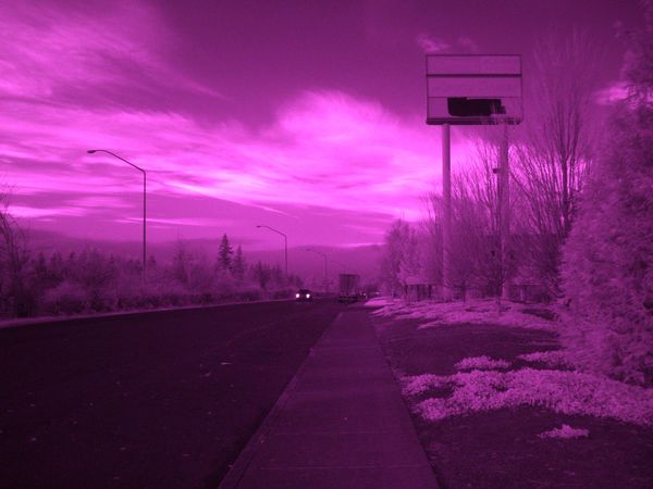 Infrared Photography